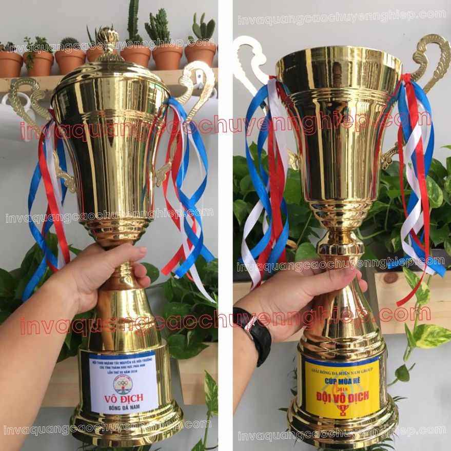 Bán cúp lưu niệm bóng đá, cúp thể thao và huy chương dùng trao giải cho các cuộc thi đấu thể thao. Làm cúp lưu niệm giá rẻ nhất tại quảng cáo Hoàng Kim !